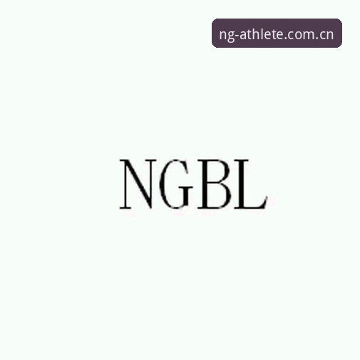 NG体育平台注册使用指南：完整教程与安全评估