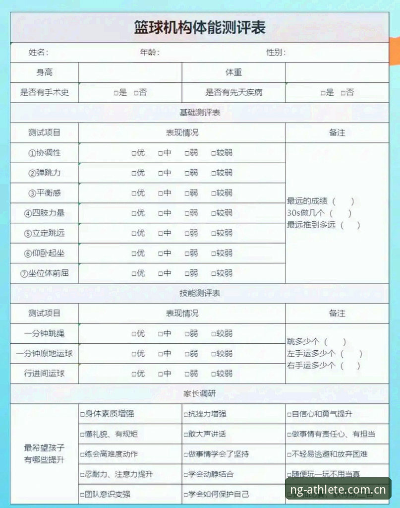 NG体育使用体验深度评测：功能、数据与操作全解析